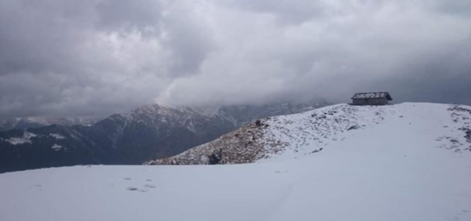 Snow Trek To Pankhu